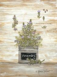 Rosemary Botanical | Obraz na stenu