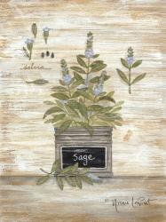 Sage Botanical | Obraz na stenu