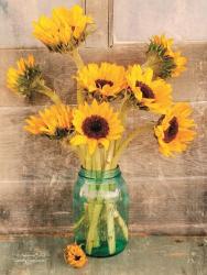 Country Sunflowers I | Obraz na stenu