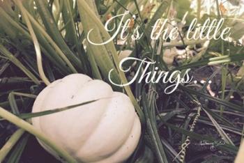 It's the Little Things | Obraz na stenu
