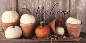 Welcome Pumpkin Shelf | Obraz na stenu