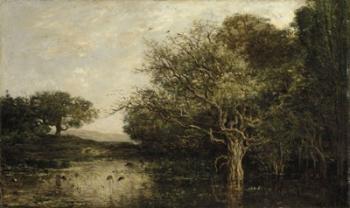 The Pond With Herons | Obraz na stenu