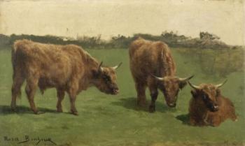 Three Studies of Reddish-Haired Cows on a Meadow | Obraz na stenu