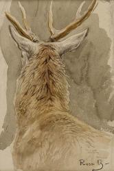 Study of a Deer | Obraz na stenu