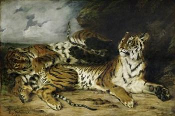 A Young Tiger Playing with its Mother, 1830 | Obraz na stenu