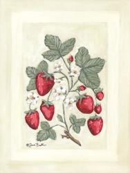 Sweet Summer Strawberries I | Obraz na stenu