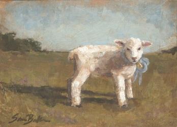 Little Lamb III | Obraz na stenu