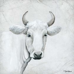 January Cow I | Obraz na stenu