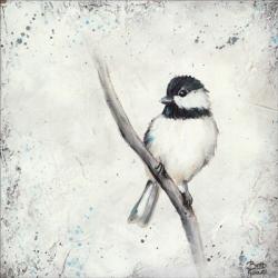 Chickadee II | Obraz na stenu