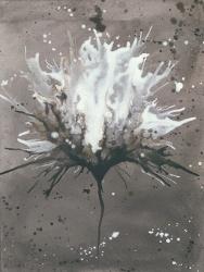 Splash of Flowers I | Obraz na stenu