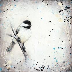 Chickadee | Obraz na stenu