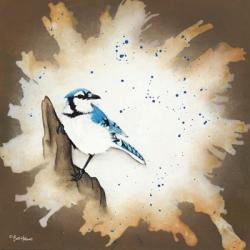 Weathered Friends - Blue Jay | Obraz na stenu