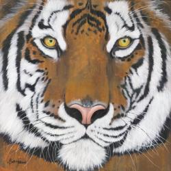 Tiger Gaze | Obraz na stenu