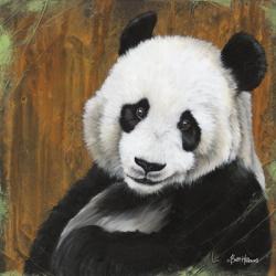 Panda Smile | Obraz na stenu