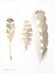 Neutral Feathers Study | Obraz na stenu
