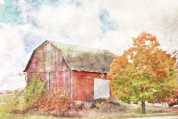 Autumn Maple by the Barn | Obraz na stenu