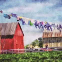 Clothesline Farm | Obraz na stenu