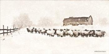 Warm Winter Barn with Sheep Herd | Obraz na stenu