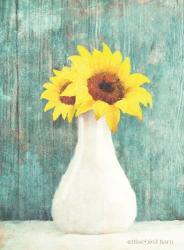 Sunflower White Vase | Obraz na stenu