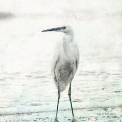 Beach Heron | Obraz na stenu