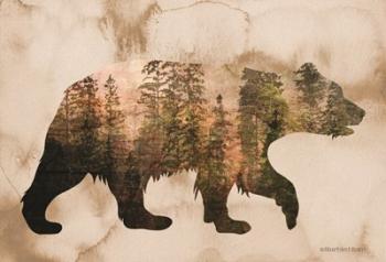 Brown Woods Bear Silhouette | Obraz na stenu