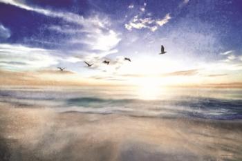 Seascape with Gulls | Obraz na stenu