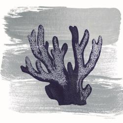 Brushed Midnight Blue Elkhorn Coral | Obraz na stenu