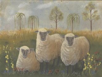 Three Sheep | Obraz na stenu