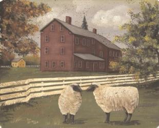 Hancock Sheep | Obraz na stenu
