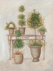 Potting Bench & Topiaries II | Obraz na stenu