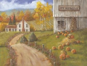 Harvest Pumpkin Farm | Obraz na stenu
