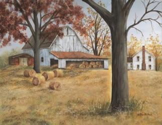 Last Hay Harvest | Obraz na stenu