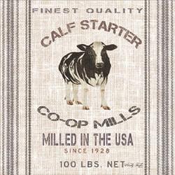 Calf Starter | Obraz na stenu
