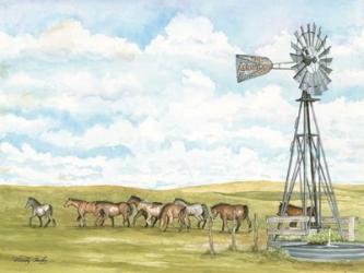 Pasture Horses | Obraz na stenu