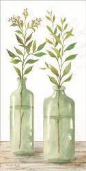 Simple Leaves in Jar III | Obraz na stenu