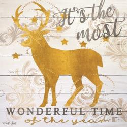 It's the Most Wonderful Time Deer | Obraz na stenu