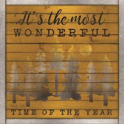 It's the Most Wonderful Time of the Year | Obraz na stenu