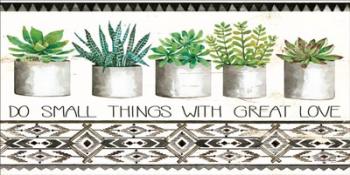 Do Small Things Succulents | Obraz na stenu