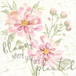Bloom Where You are Planted | Obraz na stenu