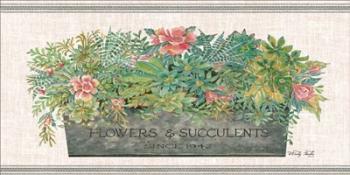 Flowers & Succulents | Obraz na stenu