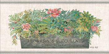 Flowers & Succulents | Obraz na stenu