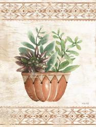 Southwest Terracotta Succulents I | Obraz na stenu
