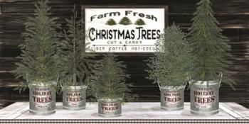 Galvanized Pots Christmas Trees II | Obraz na stenu