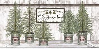 Galvanized Pots White Christmas Trees II | Obraz na stenu