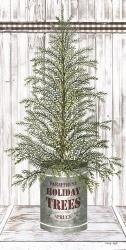 Galvanized Pot Spruce | Obraz na stenu