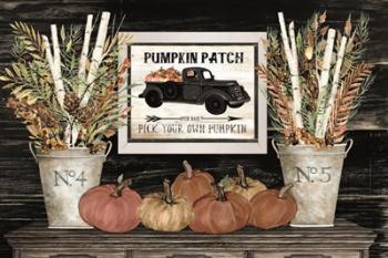 Pumpkin Patch Still Life | Obraz na stenu