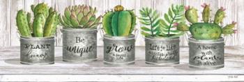 Galvanized Pot Succulents I | Obraz na stenu