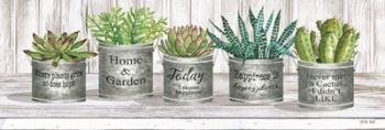 Galvanized Pot Succulents II | Obraz na stenu