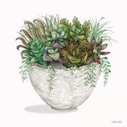 Succulent on White III | Obraz na stenu