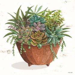 Terracotta Succulents I | Obraz na stenu